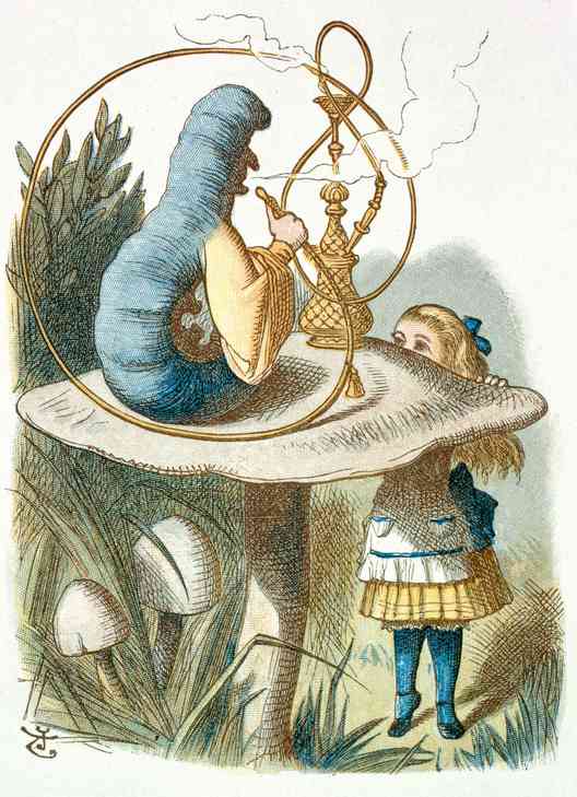 Alice in Wonderland Alice in Wonderland