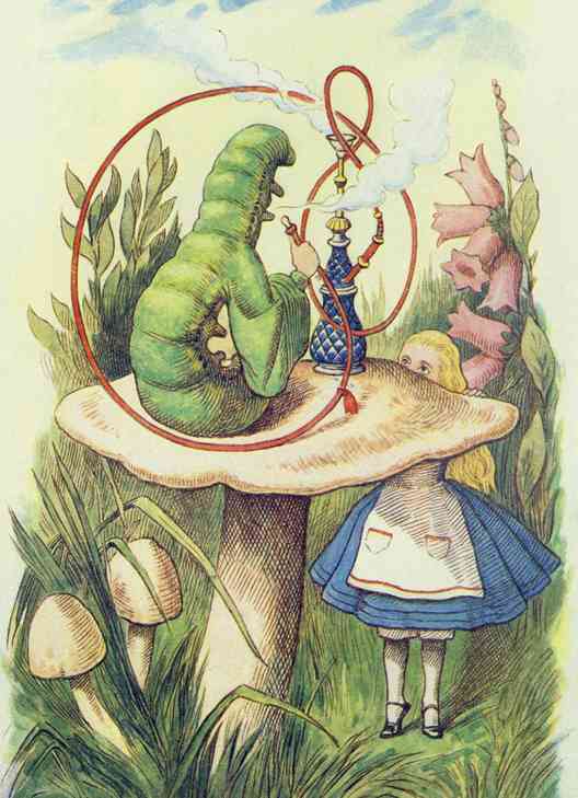 Alice in Wonderland Alice in Wonderland