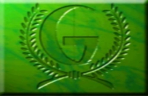 Green Nation Flag Army Men