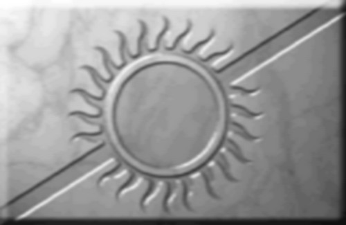 Grey Nation Flag Army Men